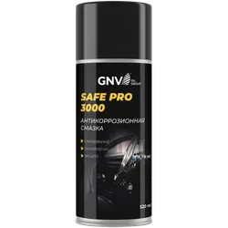 GNV Safe Pro 3000