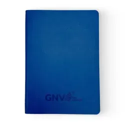 Ежедневник GNV синий