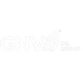 Наклейка GNV переводная, фото 1