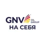 Наклейка GNV на дверь 